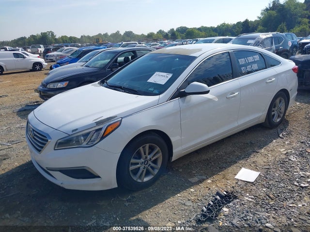 Hyundai Sonata 2.4l Se 2016 5NPE24AF2GH377212 Image 2