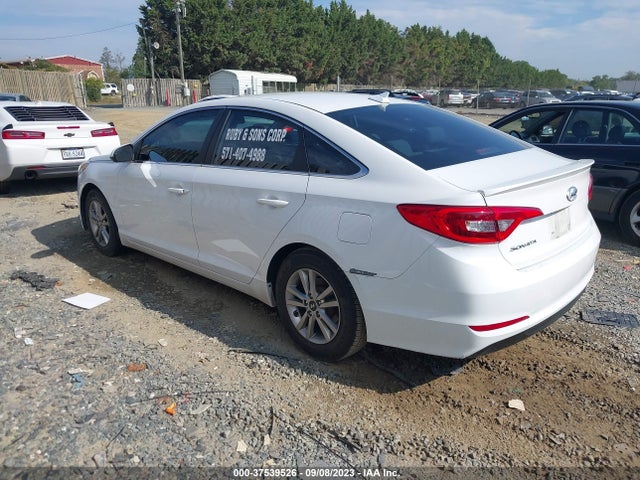 Hyundai Sonata 2.4l Se 2016 5NPE24AF2GH377212 Image 3