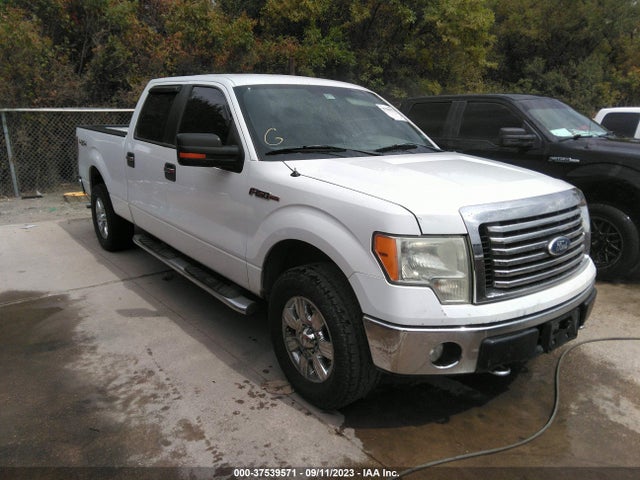 2010 FORD F-150 XL/XLT/FX4/LARIAT VIN: 1FTFW1EV7AFD87583