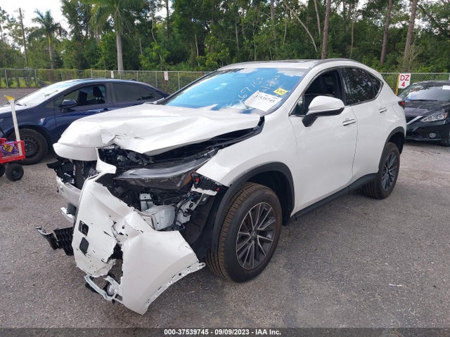 2022 Lexus NX, VIN: 2T2GGCEZXNC010868