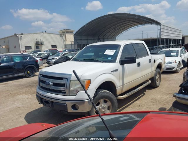 1FTFW1EF8EKD93236 Ford F-150 Xl/xlt/stx/fx4/lariat