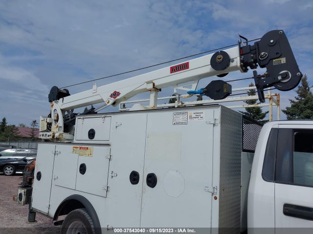 2019 Ford F-550, VIN: 1FDUF5GY1KDA01450