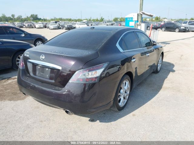 1N4AA5AP2EC442879 Nissan Maxima 3.5 Sv W/premium Pkg