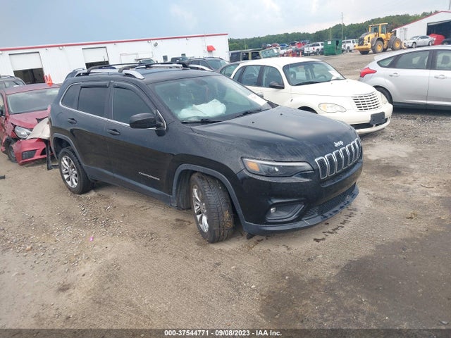 2019 1C4PJLLB7KD196959 главное изображение