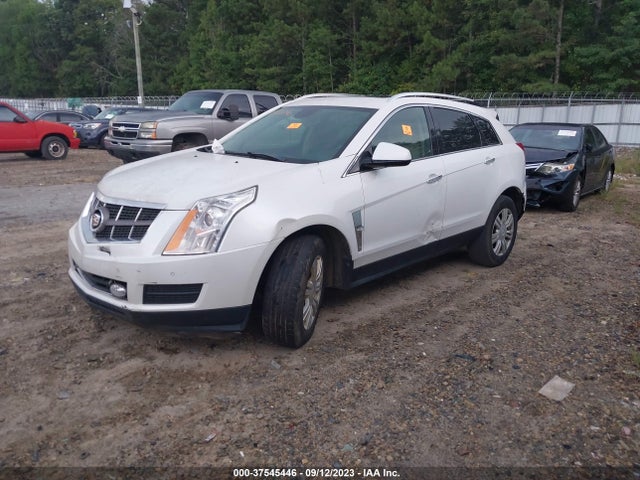 2010 CADILLAC SRX LUXURY COLLECTION VIN: 3GYFNAEY6AS562568
