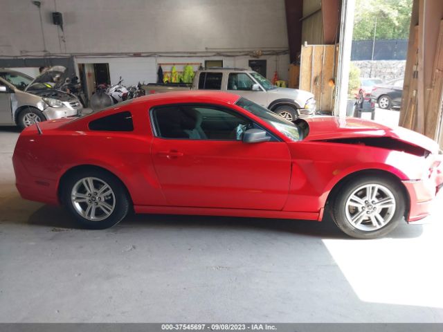 1ZVBP8AM4E5329764 Ford Mustang V6