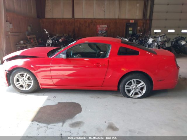 1ZVBP8AM4E5329764 Ford Mustang V6