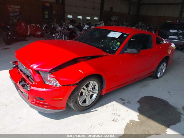 1ZVBP8AM4E5329764 Ford Mustang V6