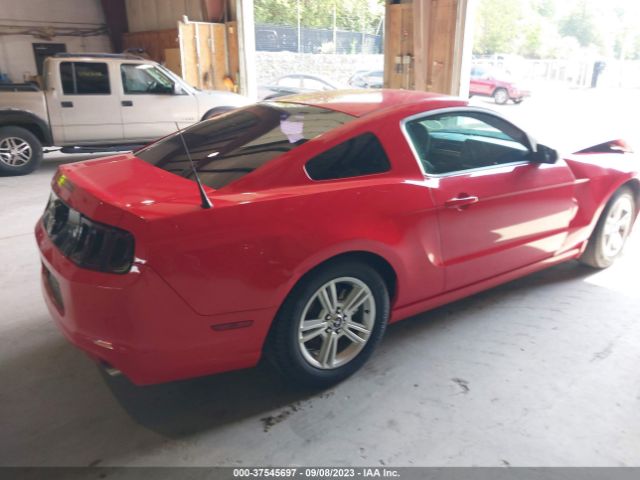 1ZVBP8AM4E5329764 Ford Mustang V6