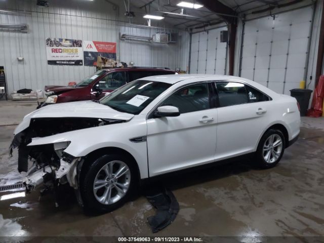 1FAHP2H83GG147053 Ford TAURUS SEL