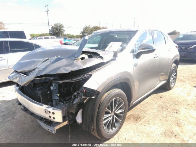 2022 LEXUS NX 2T2GDCEZXNC002262 Photo 1