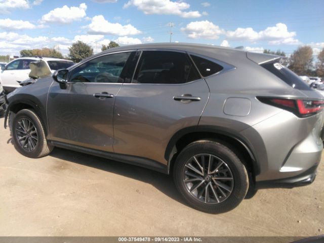 2022 LEXUS NX 2T2GDCEZXNC002262 Photo 2