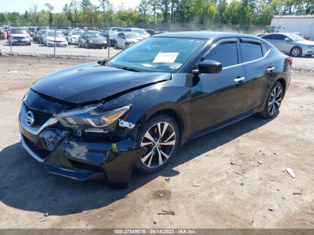 1N4AA6AP7GC416643 Nissan Maxima 3.5 S