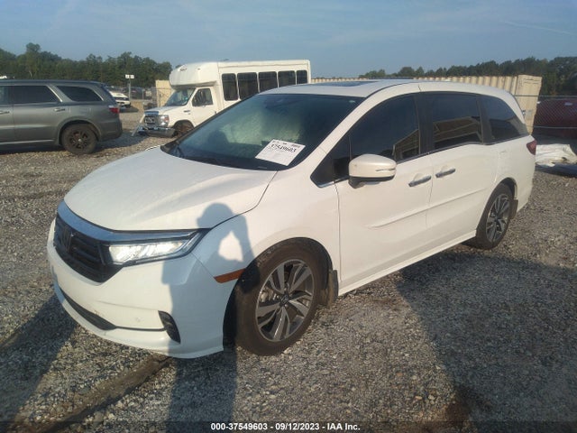 Honda Odyssey Touring 2023 5FNRL6H8XPB034065 Image 2