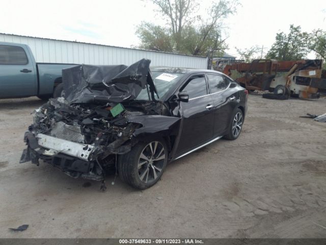 1N4AA6AP1HC364623 Nissan MAXIMA SL