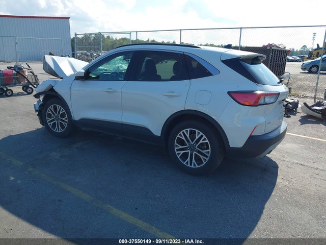 Ford ESCAPE SEL 2020 1FMCU0H66LUB45501 Image 3