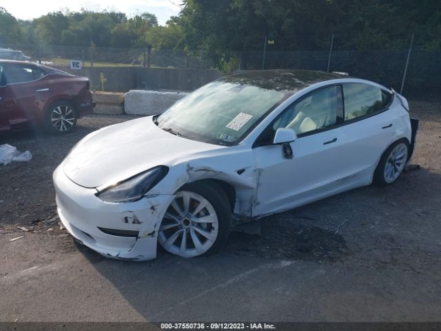 5YJ3E1EA8MF081939 Tesla Model 3 Standard Range Plus