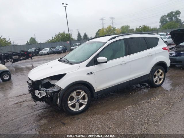 1FMCU0GX1EUD38118 Ford ESCAPE SE