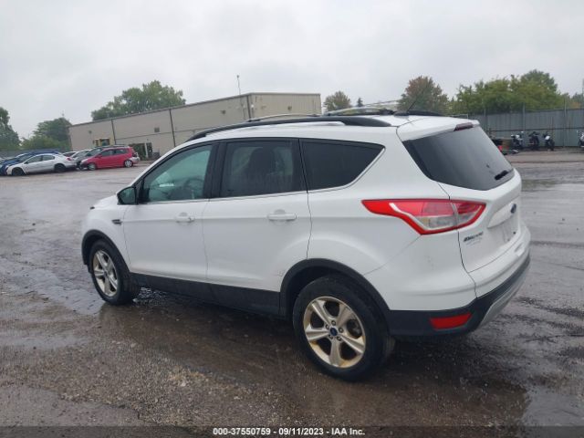 1FMCU0GX1EUD38118 Ford ESCAPE SE