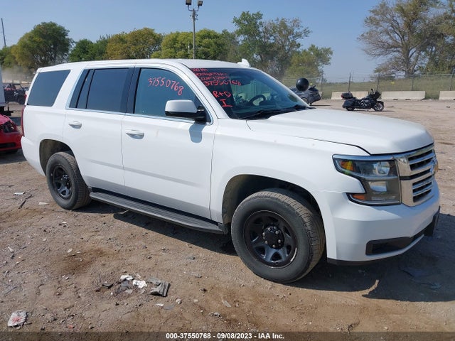 2019 1GNSKDEC5KR334964 main image