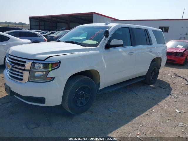 Chevrolet Tahoe Commercial 2019 1GNSKDEC5KR334964 Image 2