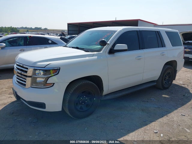 Chevrolet Tahoe Commercial 2020 1GNSKDEC4LR258848 Image 2