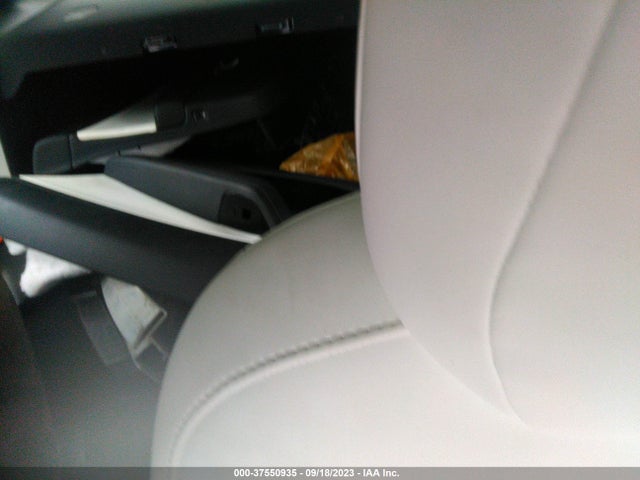 2019 Tesla 3, VIN: 5YJ3E1EB5KF390693