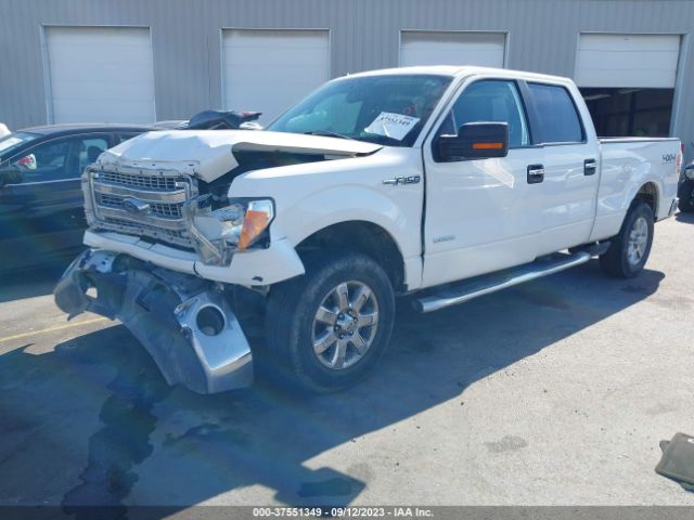 1FTFW1ET8EKE64490 Ford F-150 Xl/xlt/fx4/lariat