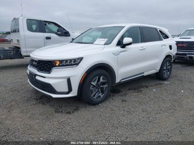 KNDRGDLG3N5110019 KIA Sorento Hybrid S