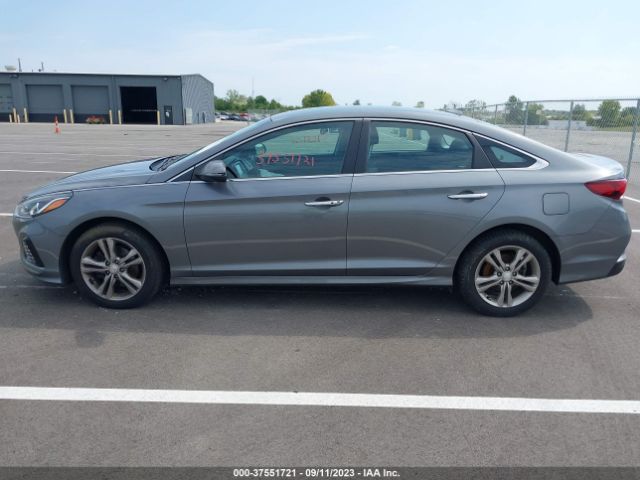 5NPE34AF7KH764537 Hyundai SONATA SEL