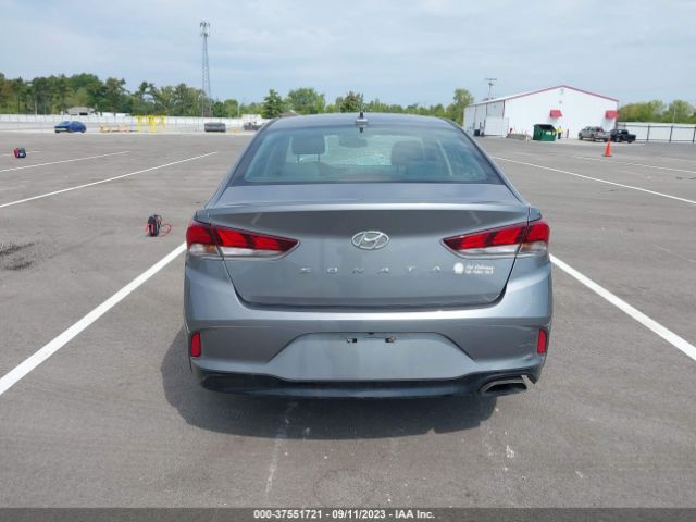 5NPE34AF7KH764537 Hyundai SONATA SEL