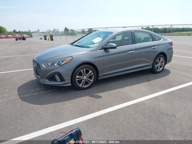 5NPE34AF7KH764537 Hyundai SONATA SEL