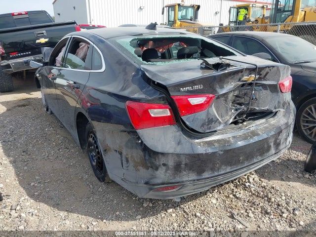 Chevrolet MALIBU LS 2023 1G1ZB5ST3PF244232 Image 3