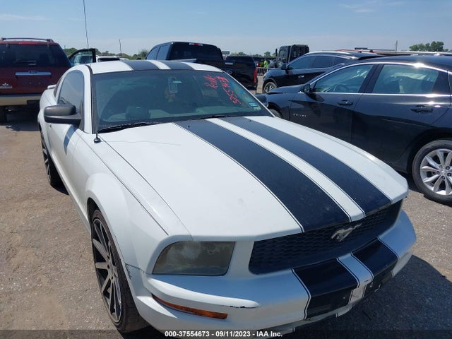 2005 FORD MUSTANG DELUXE/PREMIUM VIN: 1ZVFT80N855136752