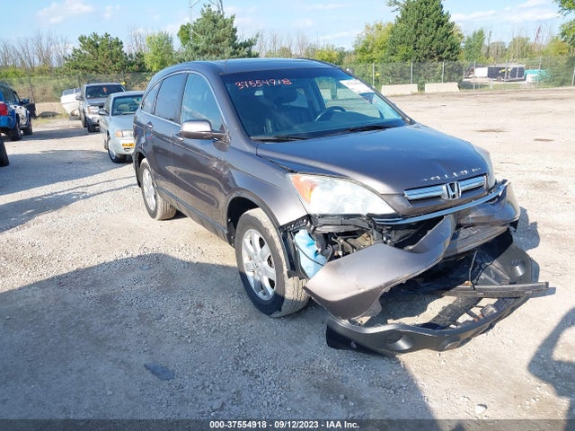 2009 HONDA CR-V EX-L VIN: 5J6RE48789L026658