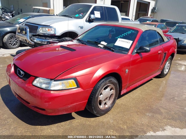 1999 FORD MUSTANG VIN: 1FAFP4442XF128876