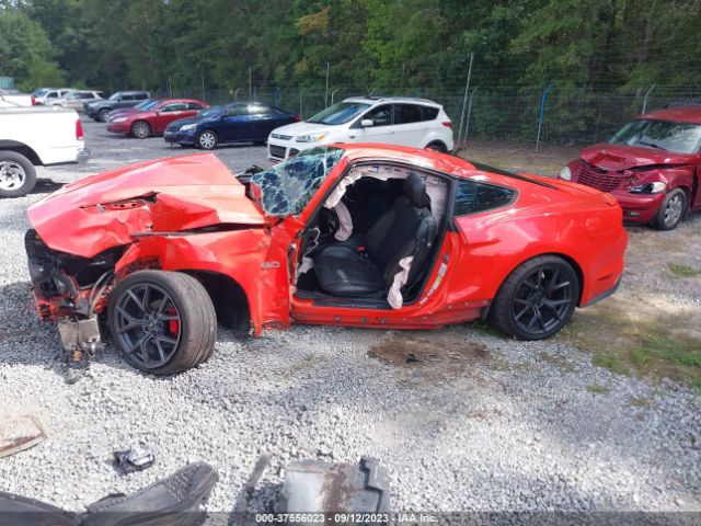 1FA6P8CF8F5344052 Ford MUSTANG GT
