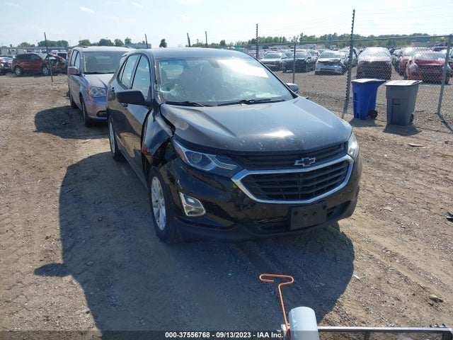 Chevrolet EQUINOX LS 2019 2GNAXSEV1K6112873 Image 1
