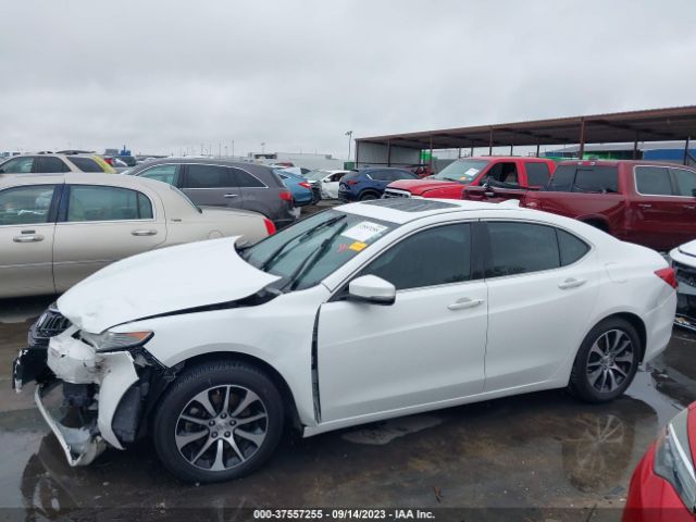 19UUB1F37FA017529 Acura TLX