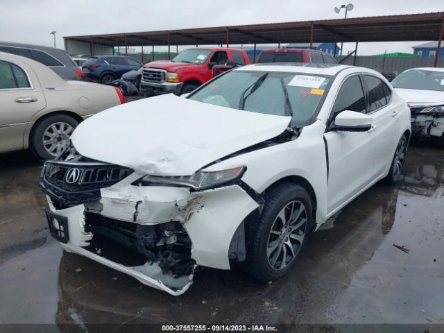 19UUB1F37FA017529 Acura TLX