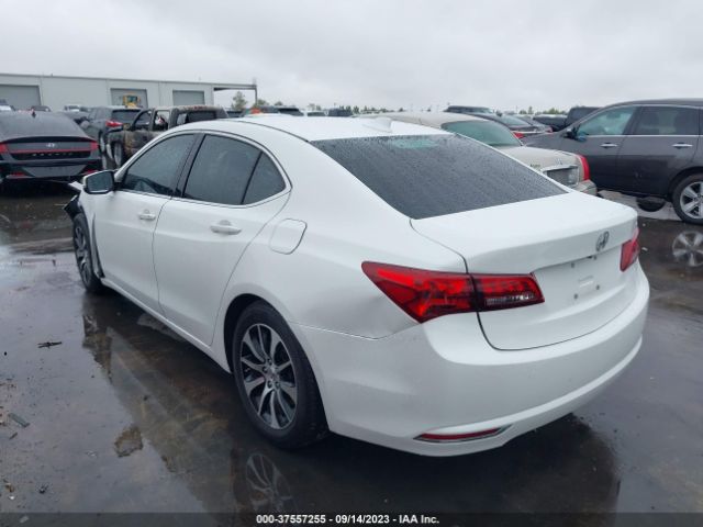 19UUB1F37FA017529 Acura TLX
