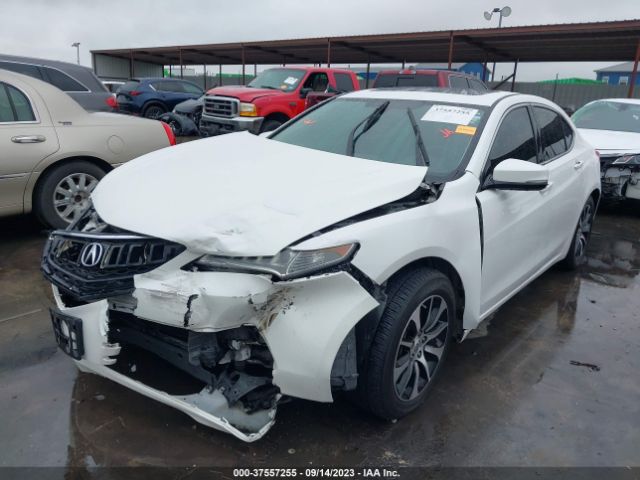 19UUB1F37FA017529 Acura TLX