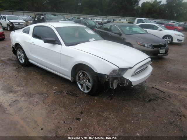 2013 FORD MUSTANG V6 VIN: 1ZVBP8AM0D5226680