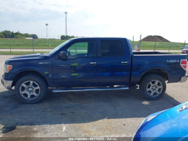 1FTFW1EF7EFA36459 Ford F-150 Xl/xlt/stx/fx4/lariat