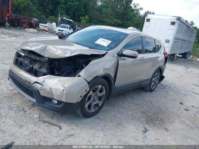 Honda Cr-v Ex-l 2019 5J6RW1H87KL002975 Image 2