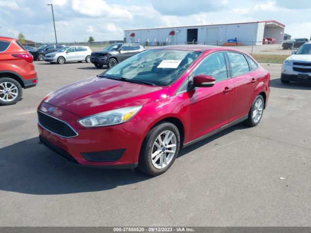 1FADP3F29FL324293 Ford FOCUS SE
