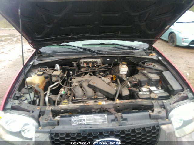 2007 FORD ESCAPE XLT VIN: 1FMYU03177KA99695