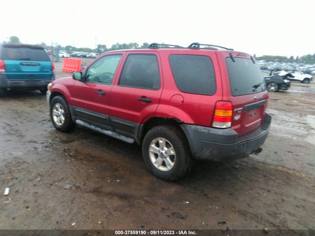 2007 FORD ESCAPE XLT VIN: 1FMYU03177KA99695
