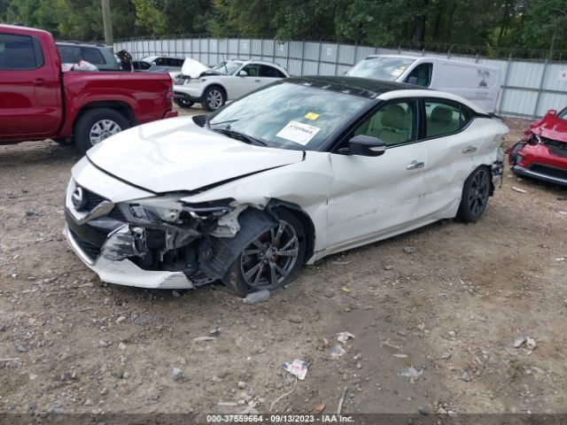 1N4AA6AP5GC903629 Nissan Maxima 3.5 Sl