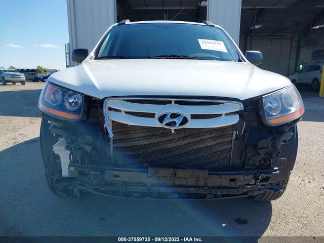 2010 HYUNDAI SANTA FE GLS VIN: 5NMSGDAB7AH409092